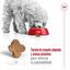 8 kg Royal Canin Mini 8+ Adult pienso para perros, , large indicador imagen numero 7
