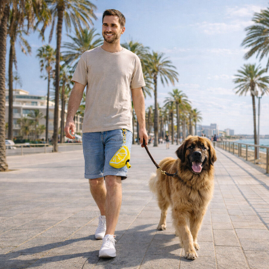Summer Vibes Porta bolsas Lim&oacute;n para perros, , large Imagen numero 1
