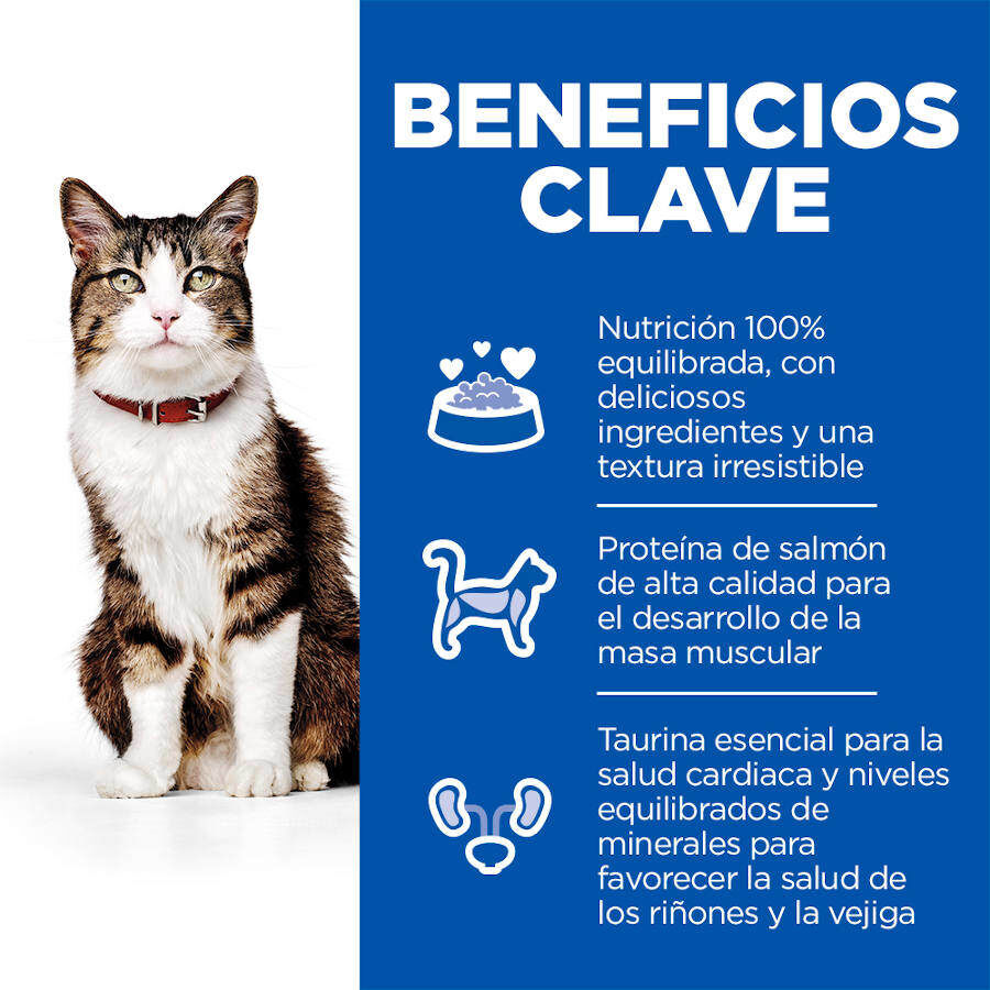 Hill&#039;s Science Plan Culinary Creations Salmón y Zanahorias pienso para gatos thumbnail