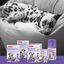 Beaphar No-Stress Difusor de Recambio Anti estrés para perros, , large indicador imagen numero 5