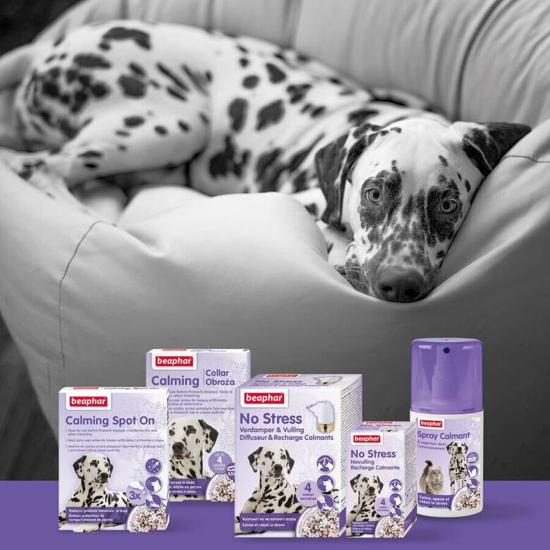 Beaphar No-Stress Difusor de Recambio Anti estrés para perros thumbnail