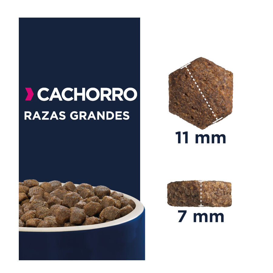 Eukanuba Puppy Large Pollo pienso para perros thumbnail