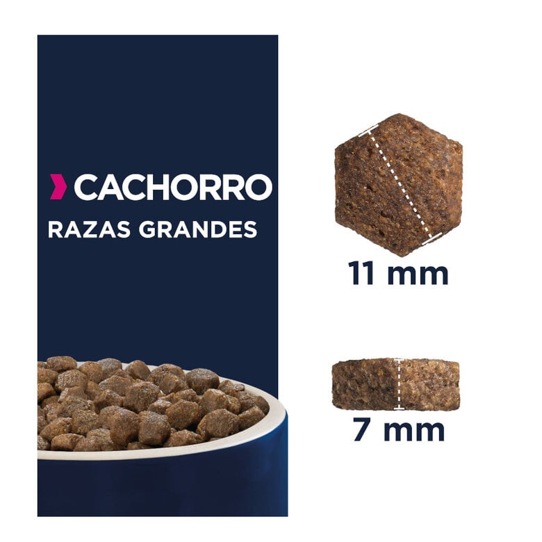 12 kg Eukanuba Puppy Large Pollo pienso para perros,  Imagen numero 2 12 kg Eukanuba Puppy Large Pollo pienso para perros, , large Imagen numero 2