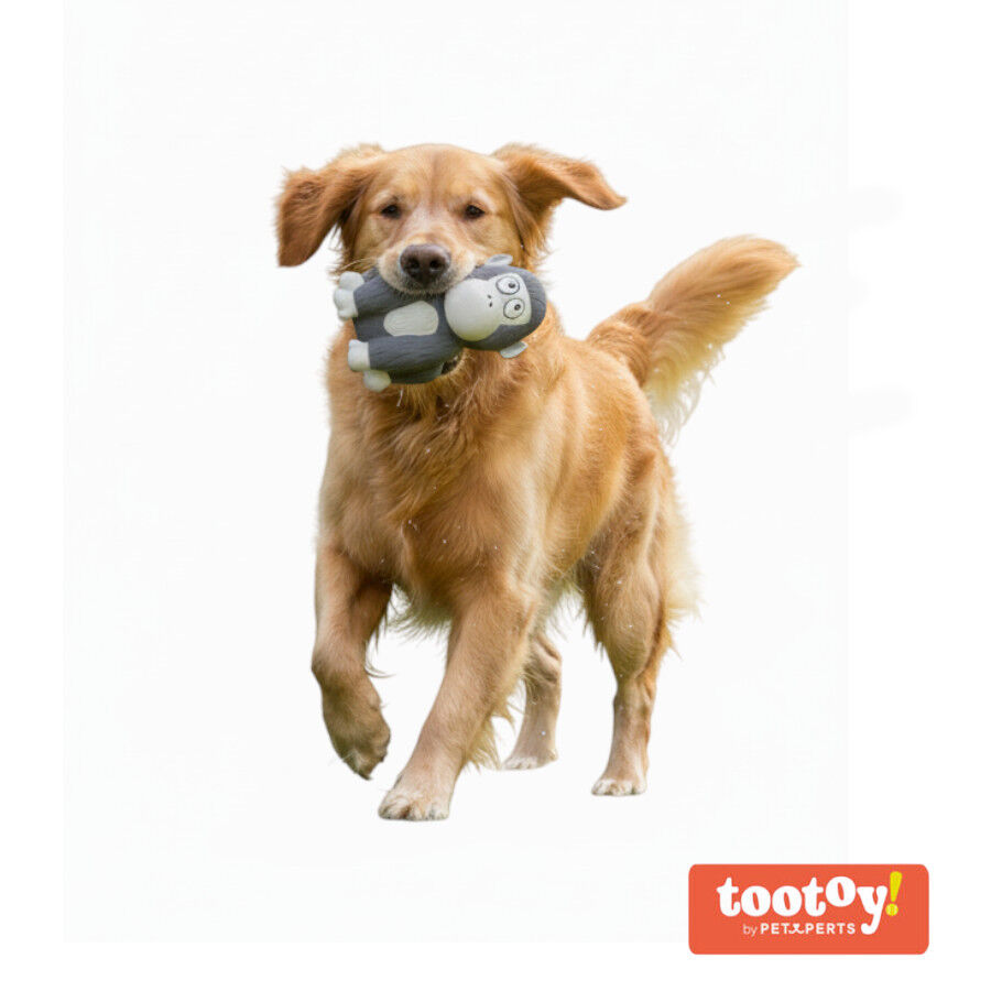 Tootoy! Gorila Mordedor con Sonido para perros thumbnail