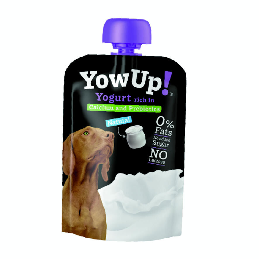 6 uds. x 115 g YowUp! Yogur Natural para perros &iexcl;Pack Ahorro!, , large Imagen numero 1