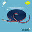Coachi Training Line Correa de Adiestramiento para perros, , large indicador imagen numero 6