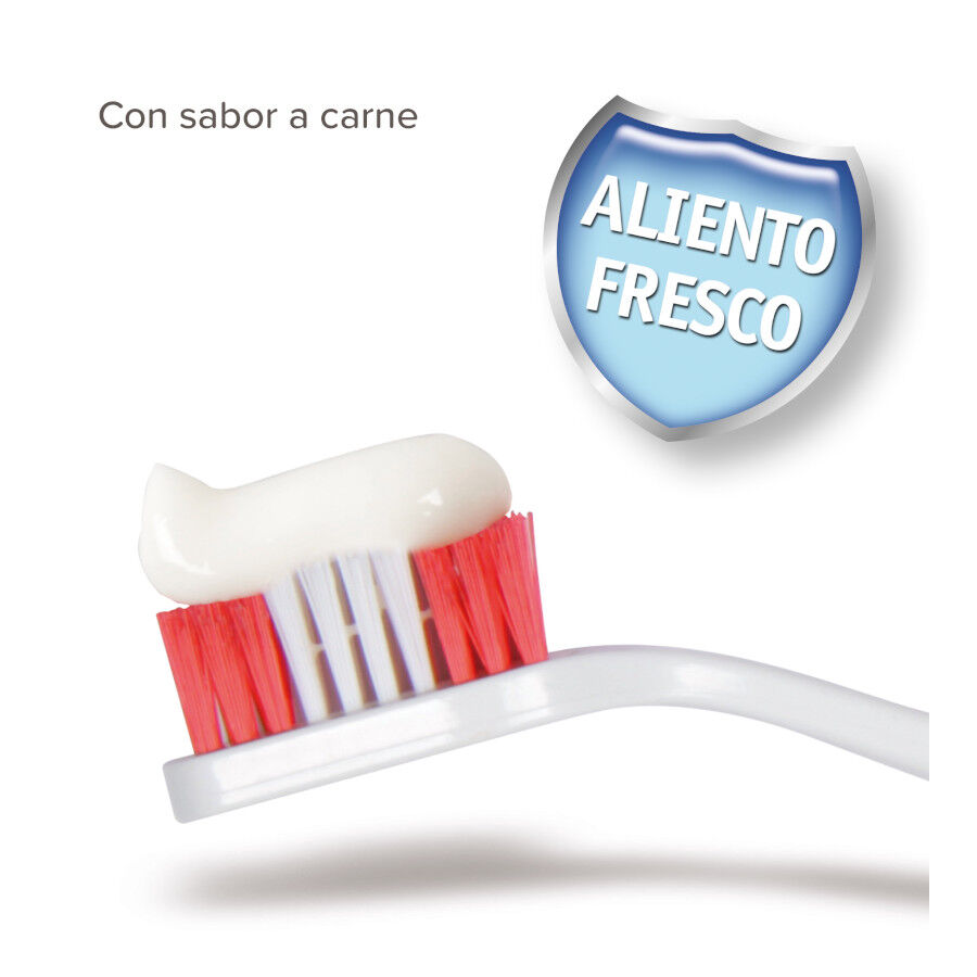 Beaphar Pasta Dental para perros y gatos, , large Imagen numero 2