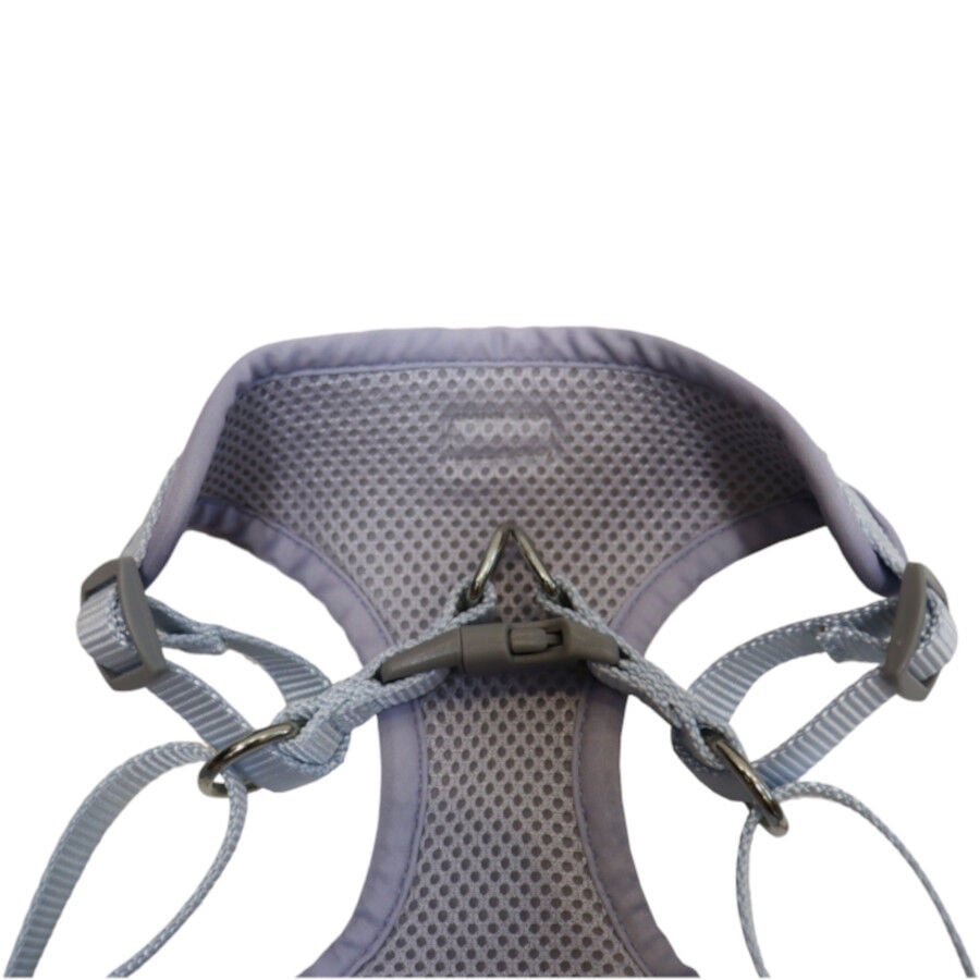 Gotoo Arn&eacute;s ajustable estampado ovejitas gris para cachorros, , large Imagen numero 4