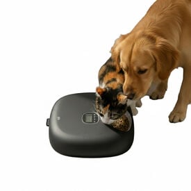 All For Paws Lifestyle Comedero Autom&aacute;tico Negro para perros y gatos