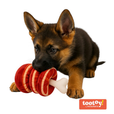 Tootoy! Comfort Beefy Thigh Cuddler peluche con sonido para perros