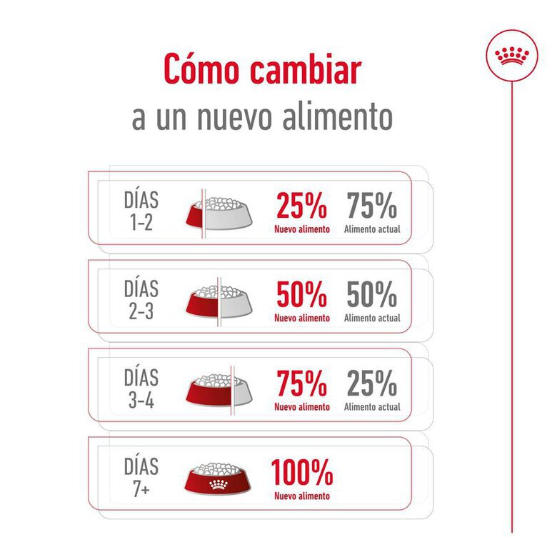 15 kg Royal Canin Maxi Adult 5+ pienso para perros senior de raza grande,  Imagen numero 3 15 kg Royal Canin Maxi Adult 5+ pienso para perros senior de raza grande, , large Imagen numero 3