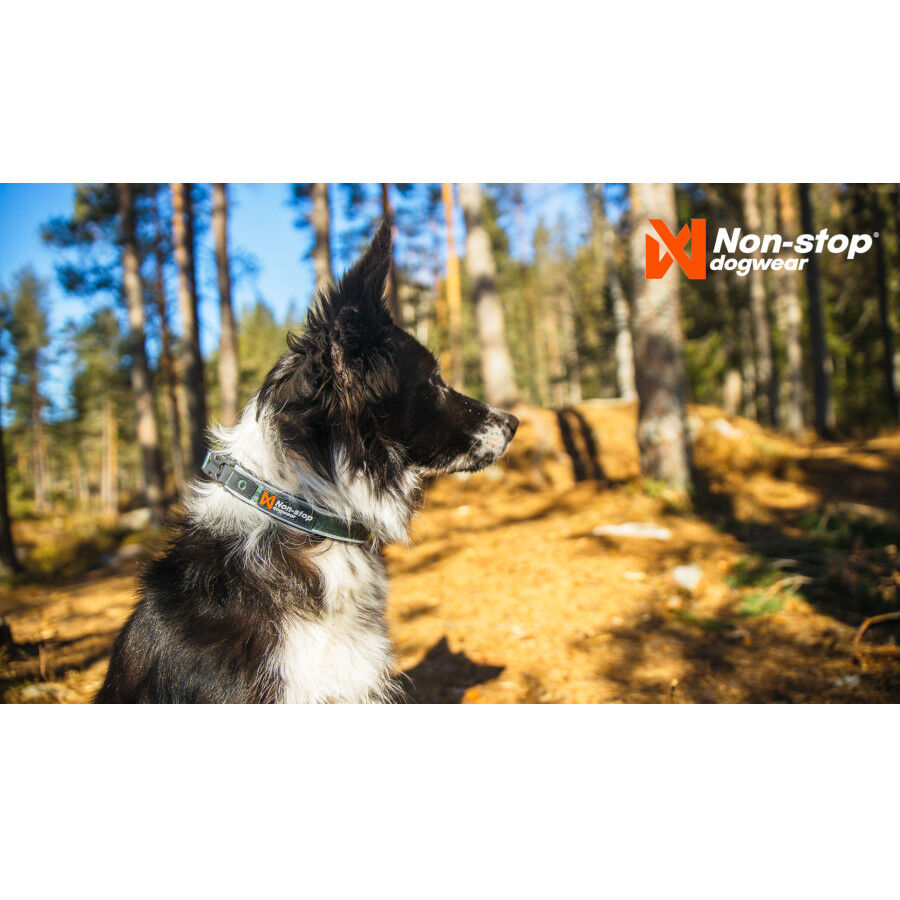Non-stop dogwear Roam Collar Verde para perros thumbnail