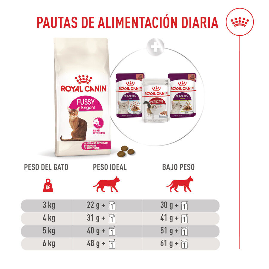 Royal Canin Fussy Exigent Pienso para gatos thumbnail