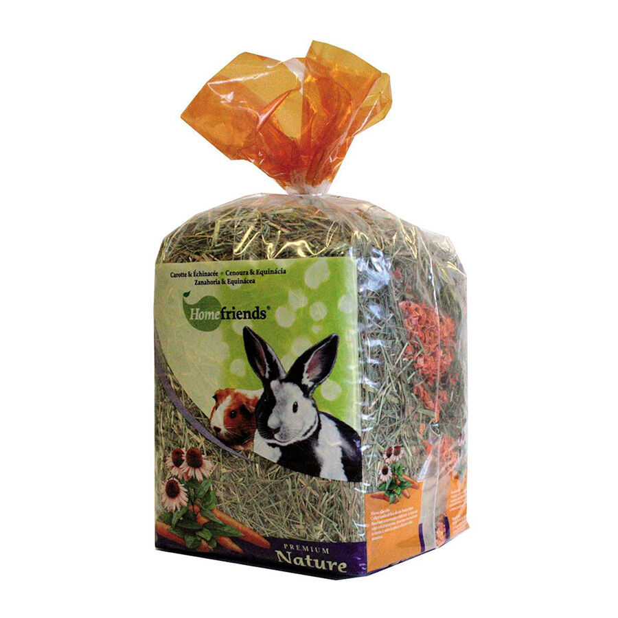 Home Friends Heno Zanahoria para roedores, , large Imagen numero 1