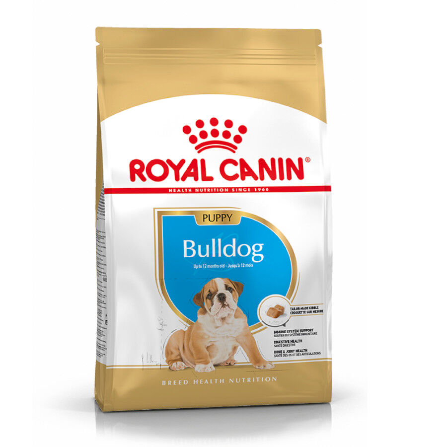 12 kg Royal Canin Puppy Bulldog pienso para cachorros, , large Imagen numero 2