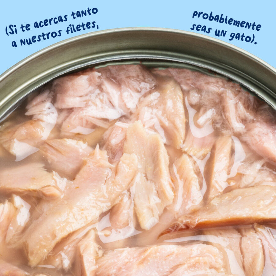 70 g Edgard & Cooper Filetes de At&uacute;n lata para gatos, , large Imagen numero 5