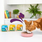 Edgard & Cooper Adult Salmón y Pollo Ecológicos en Paté tarrina para gatos, , large image number null