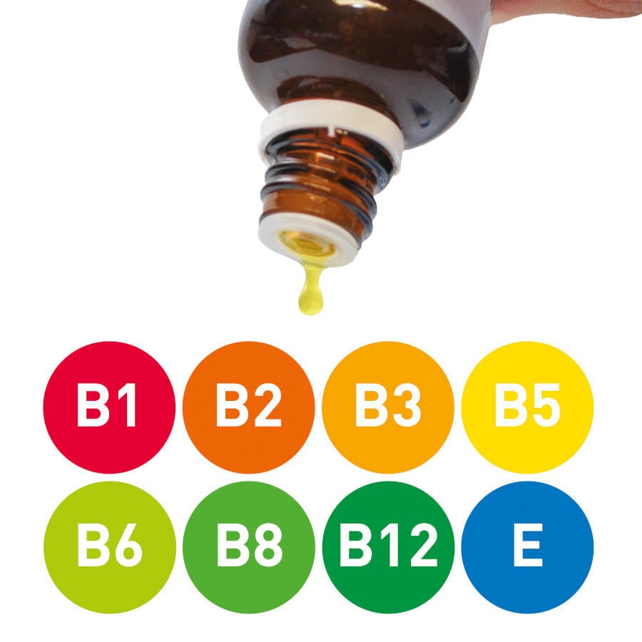 Beaphar Multivitaminas con Carnitina para perros thumbnail