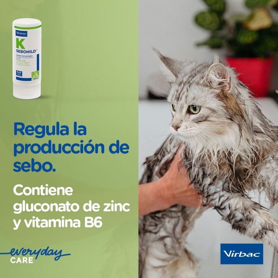 Virbac Sebomild Champ&uacute; para pieles grasas en perros y gatos, , large Imagen numero 4