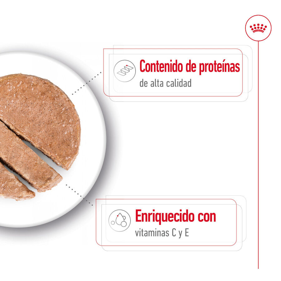 Royal Canin Medium Adult Paté lata para perros thumbnail