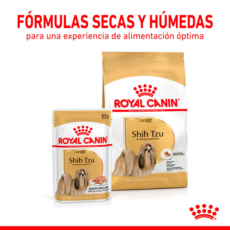Royal Canin Adult Shih Tzu Paté sobre para perros thumbnail