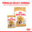 85 g Royal Canin Adult Shih Tzu Paté sobre para perros, , large indicador imagen numero 6