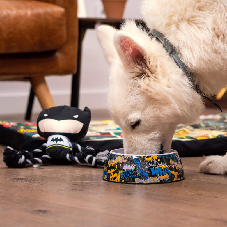 DC Comics Batman Comedero para perros thumbnail