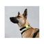 Zee Dog Lime Funda para Air Tag para perros, , large indicador imagen numero 2