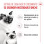 10 kg Royal Canin Mother & Babycat pienso para gatos, , large indicador imagen numero 3