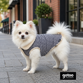 Gotoo Abrigo Azul Vichy para perros