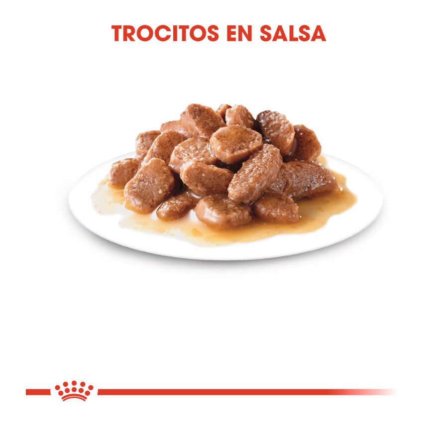 Royal Canin Ultra Light sobres para gatos thumbnail