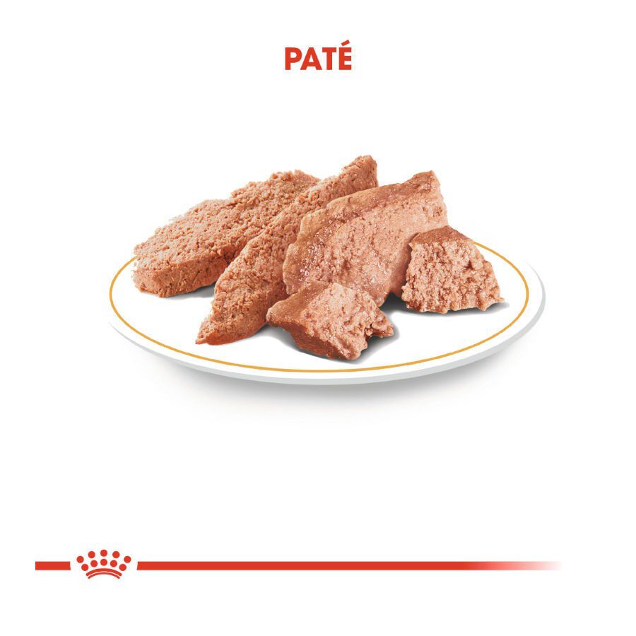 Royal Canin Adult Chihuahua paté en sobre para perros thumbnail