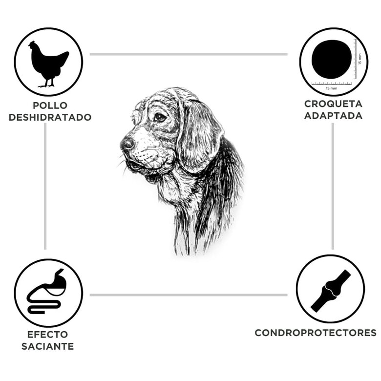 15 kg Criadores Adulto Light pienso para perros de raza grande y mediana,  Imagen numero 3 15 kg Criadores Adulto Light pienso para perros de raza grande y mediana, , large Imagen numero 3