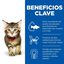 12 sobres x 85 g Hill's Science Plan Kitten Pollo y Pescado sobre para gatos , , large indicador imagen numero 3