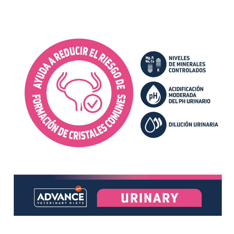 12 kg Advance Veterinary Diets Urinary pienso para perros,  Imagen numero 3 12 kg Advance Veterinary Diets Urinary pienso para perros, , large Imagen numero 3