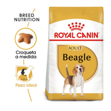 Royal Canin Adult Beagle pienso para perros