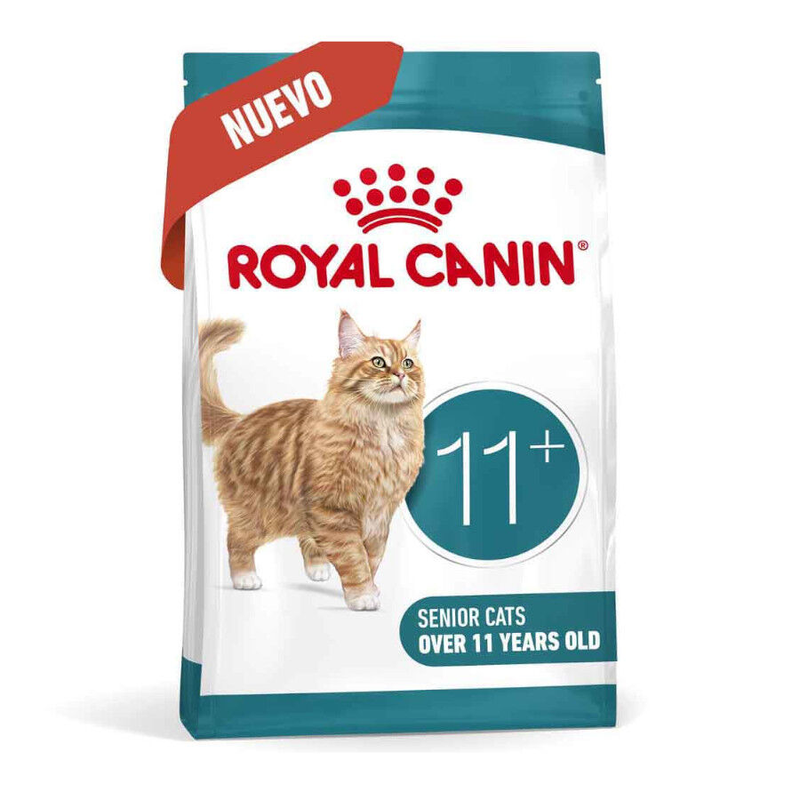 Royal Canin Ageing 11+ pienso para gatos thumbnail