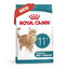 4 kg Royal Canin Ageing 11+ pienso para gatos, , large indicador imagen numero 2