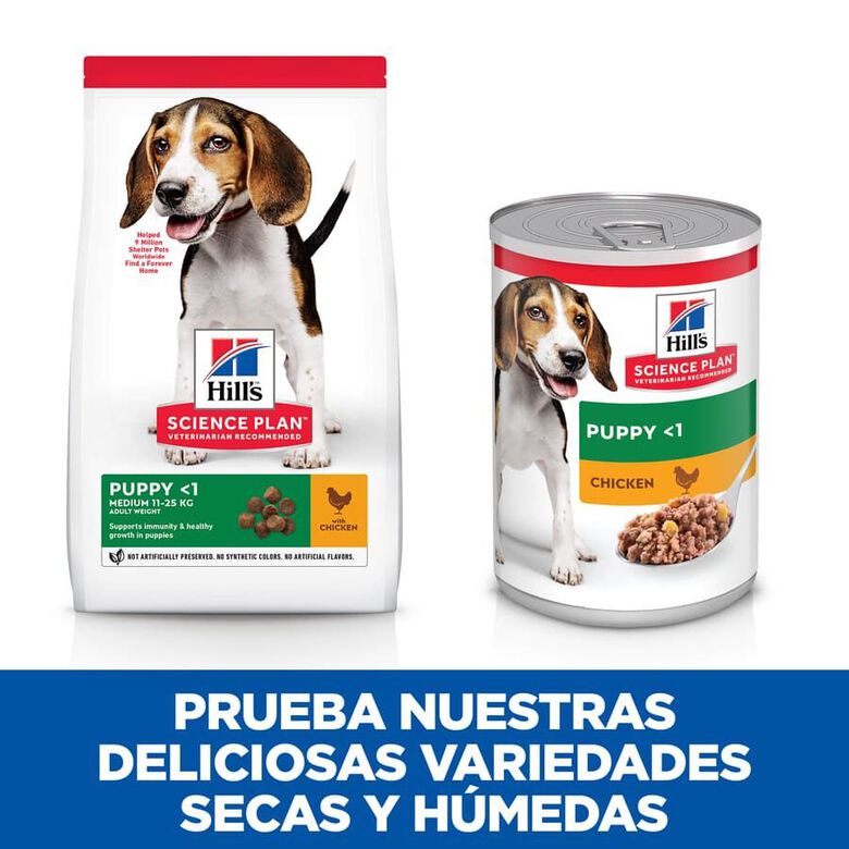 Hill&#039;s Science Plan Puppy Medium pollo pienso para perro thumbnail