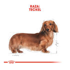 Royal Canin Sobre Paté para Teckel, , large image number null