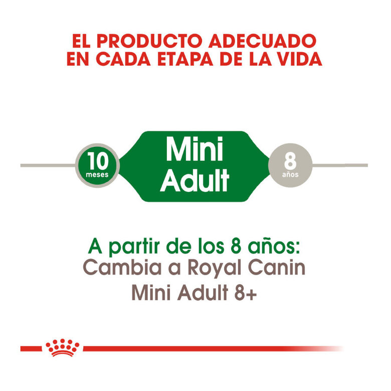 Royal Canin Mini Adult pienso para perros, , large image number null