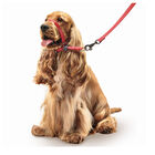 Beaphar Gentle Leader Collar de adiestramiento Rojo para perros, , large image number null