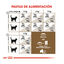 2 kg Royal Canin Ageing 12+ Sterilised pienso para gatos, , large indicador imagen numero 8