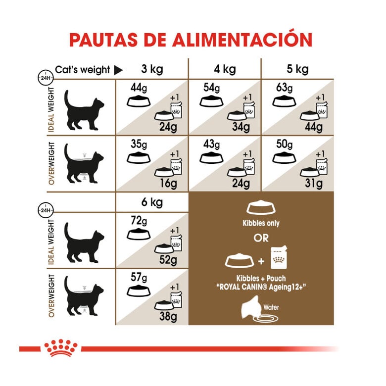 2 kg Royal Canin Ageing 12+ Sterilised pienso para gatos,  Imagen numero 8 2 kg Royal Canin Ageing 12+ Sterilised pienso para gatos, , large Imagen numero 8