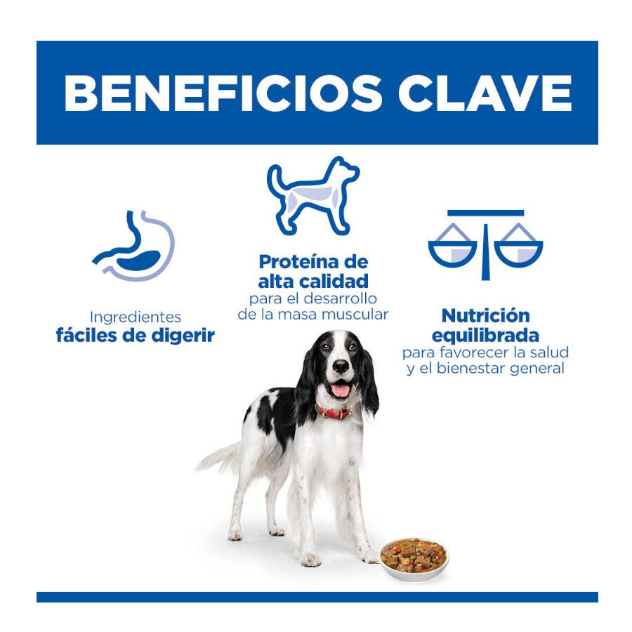 363 g  Hill's Science Plan Adult Estofado con pollo y verduras lata para perros, , large Imagen numero 3