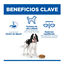 363 g  Hill's Science Plan Adult Estofado con pollo y verduras lata para perros, , large indicador imagen numero 3