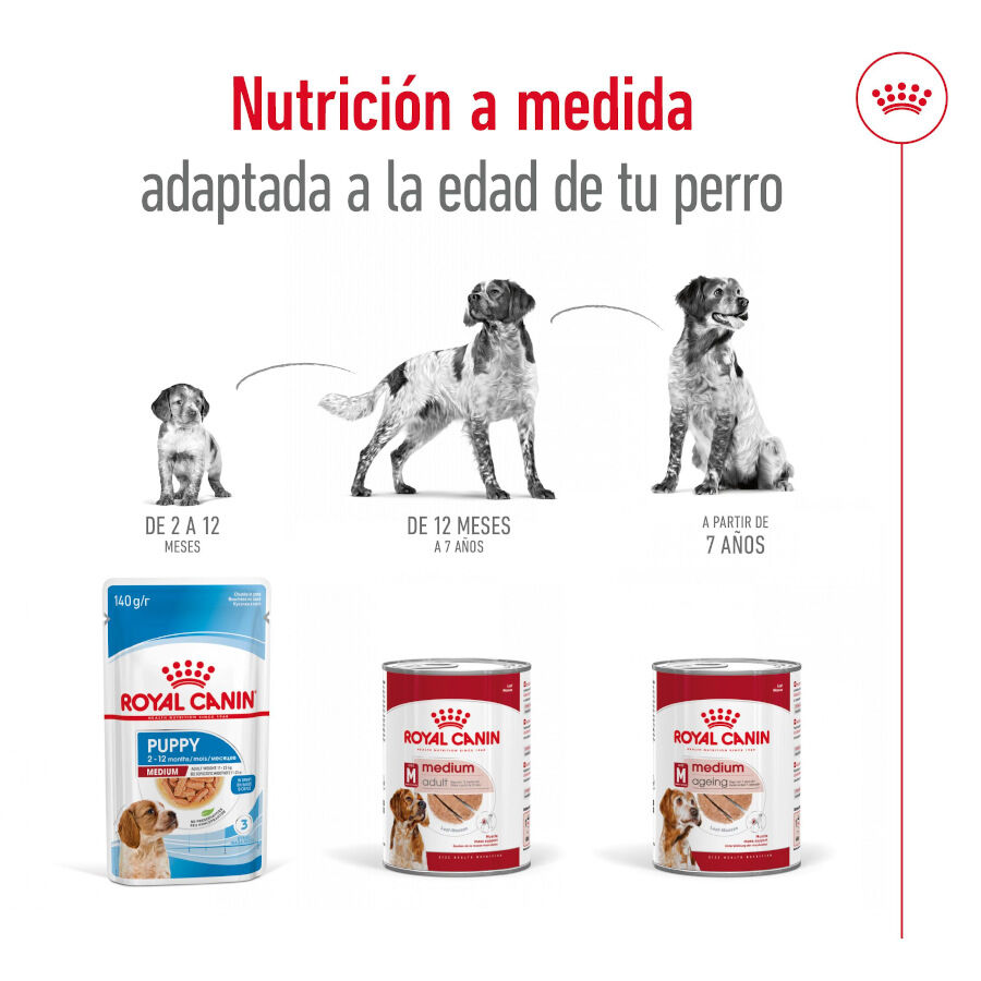 Royal Canin Medium Adult Paté lata para perros thumbnail