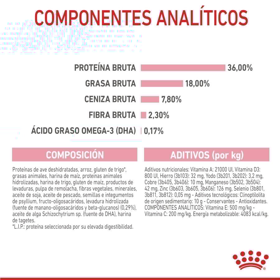 Royal Canin Kitten pienso para gatos thumbnail