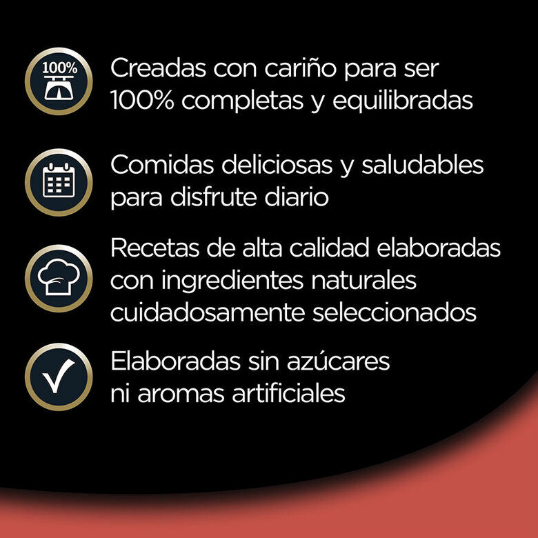 Cesar Selección Clasicos Tarrina en Paté para Perros - Multipack thumbnail