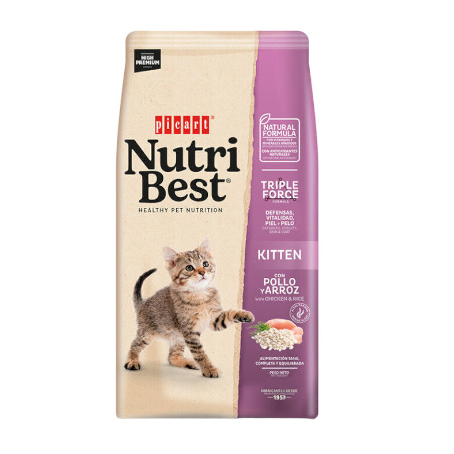 Nutribest Kitten Pollo y Arroz pienso para gatitos